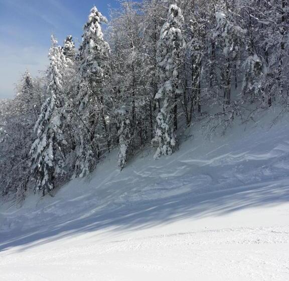 فندق Albergo Diana