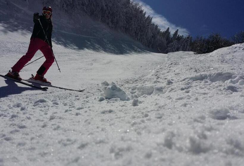 فندق Albergo Diana