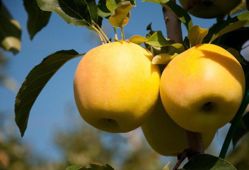 Отель Albergo Tuenno