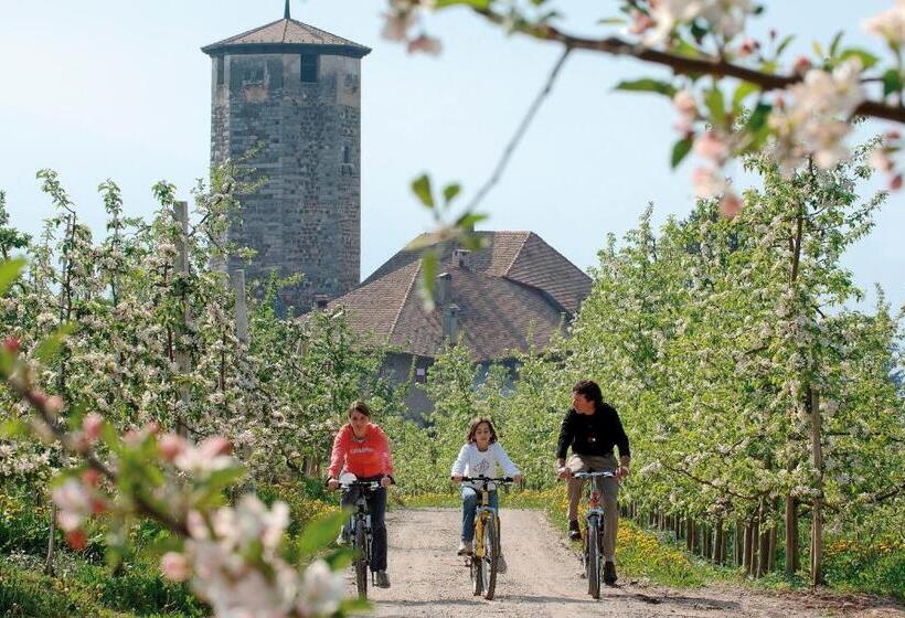 Отель Albergo Tuenno
