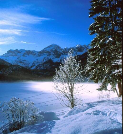 Отель Albergo Tuenno