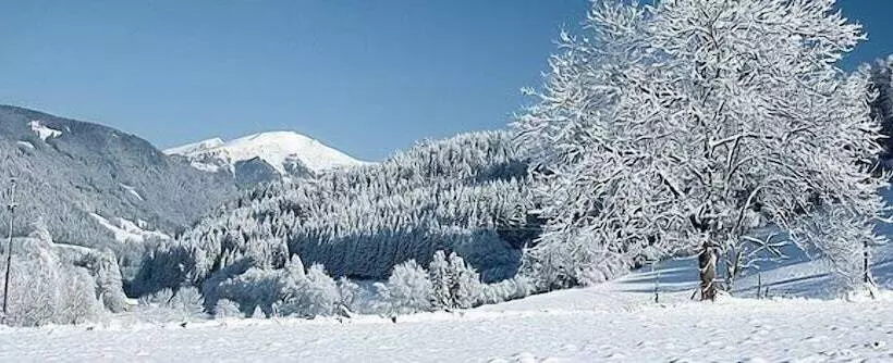 Hotelli Am Gisselgrund