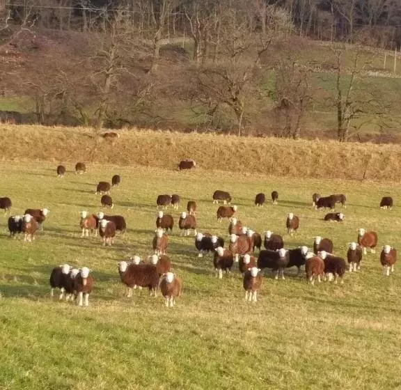 ホテル Boreland Farm