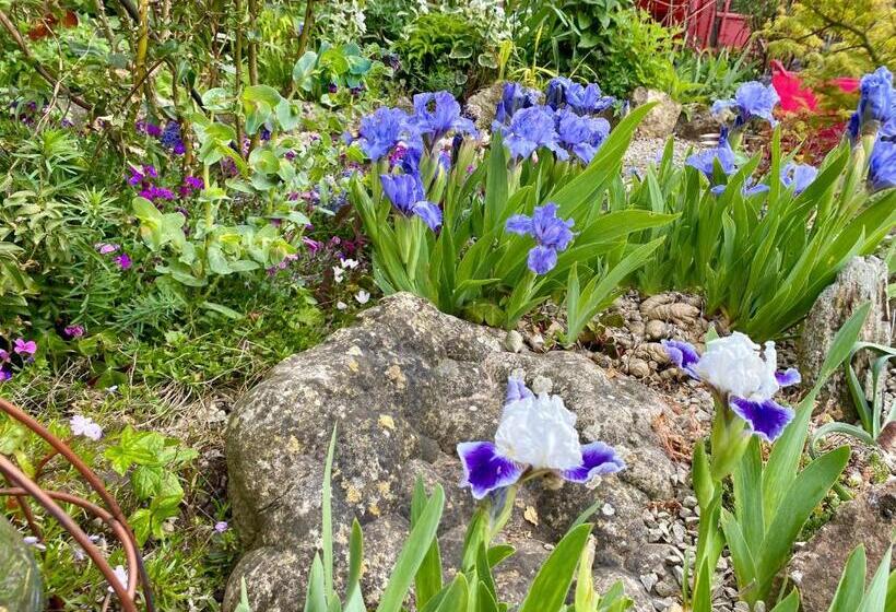 호텔 Lakeside Town Farm