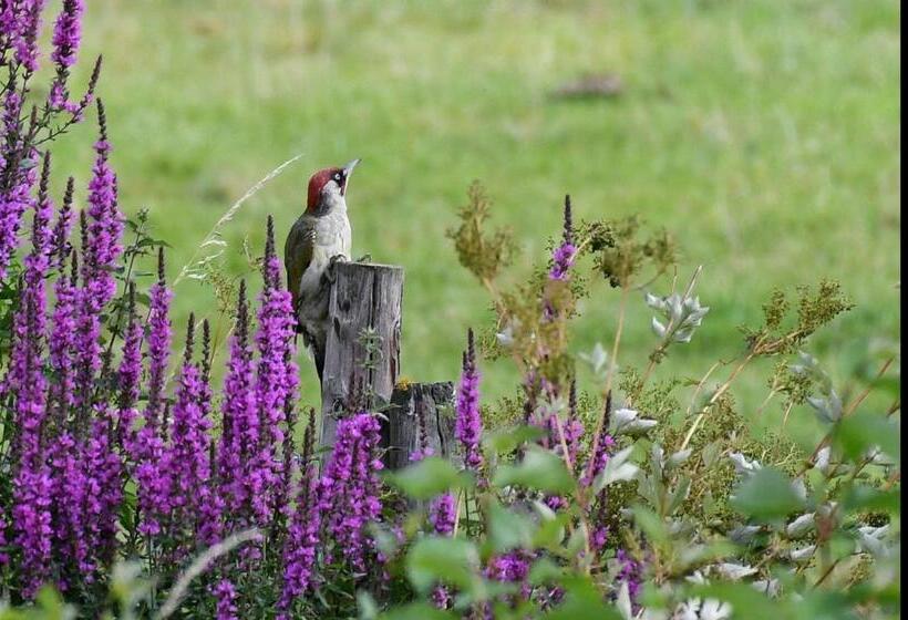 فندق Lakeside Town Farm