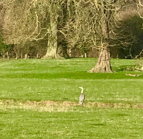 호텔 Lakeside Town Farm