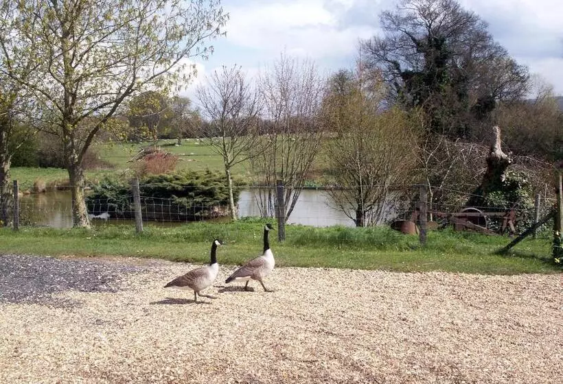هتل Lakeside Town Farm