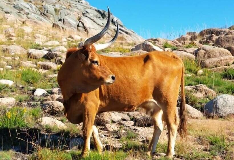 בית מלון כפרי São Cristóvão Nature Country