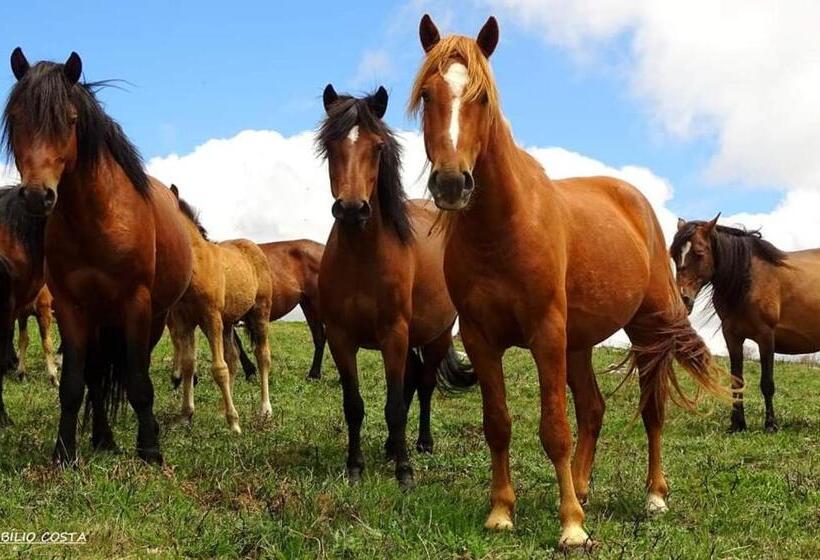 בית מלון כפרי São Cristóvão Nature Country