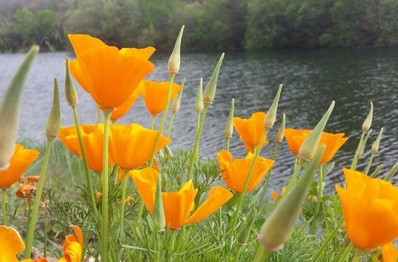 בית מלון כפרי São Cristóvão Nature Country