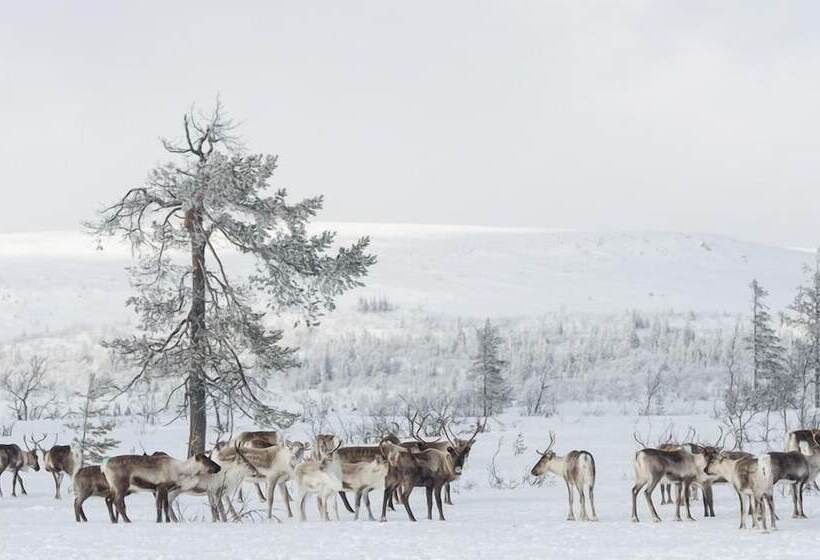Storhogna Högfjällshotell & Spa
