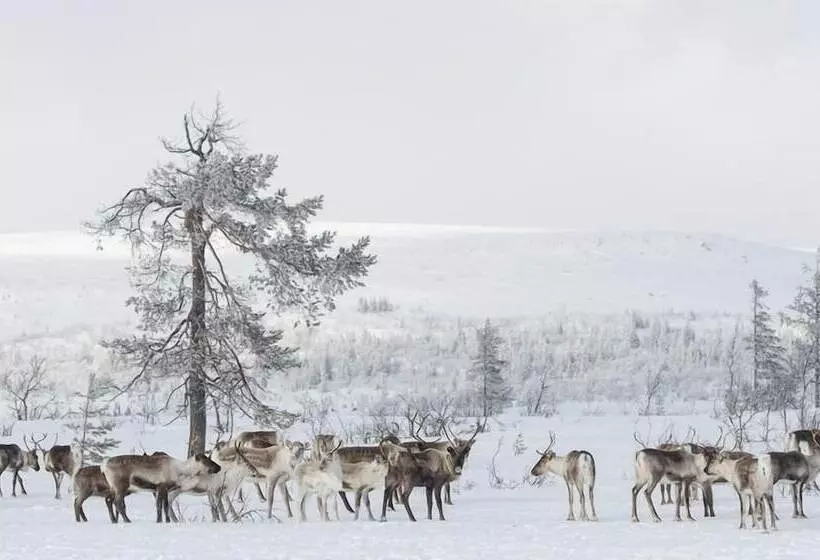 Storhogna Högfjällshotell & Spa
