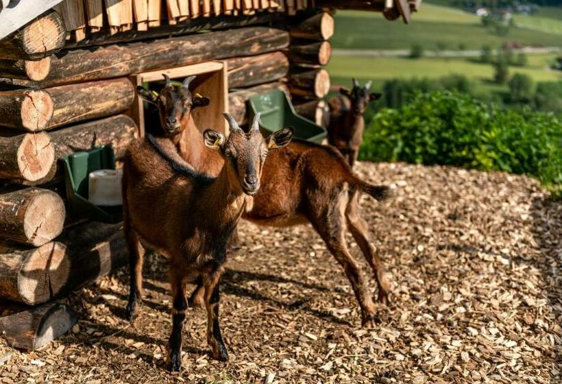 Panoramahotel Stocker