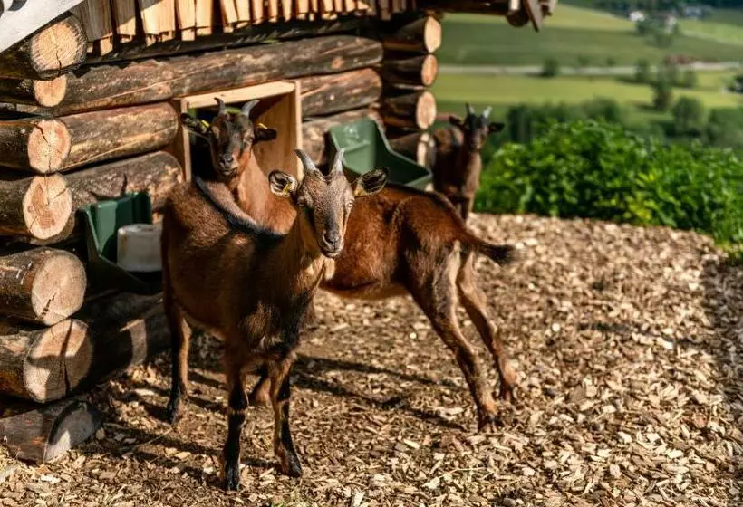 Panoramahotel Stocker