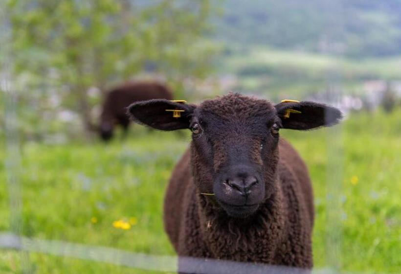 Panoramahotel Stocker