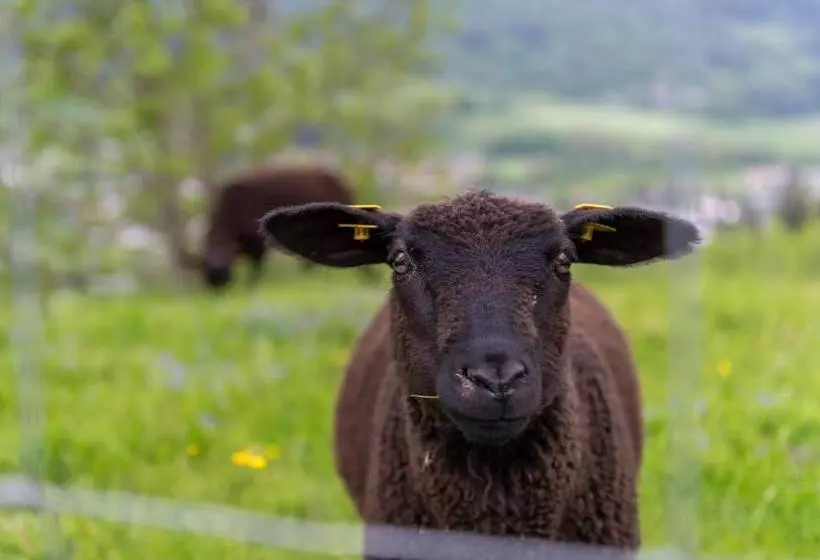 Panoramahotel Stocker