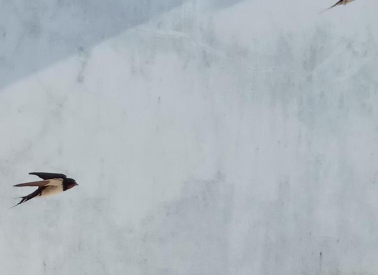 ペンション Al Casa Das Andorinhas