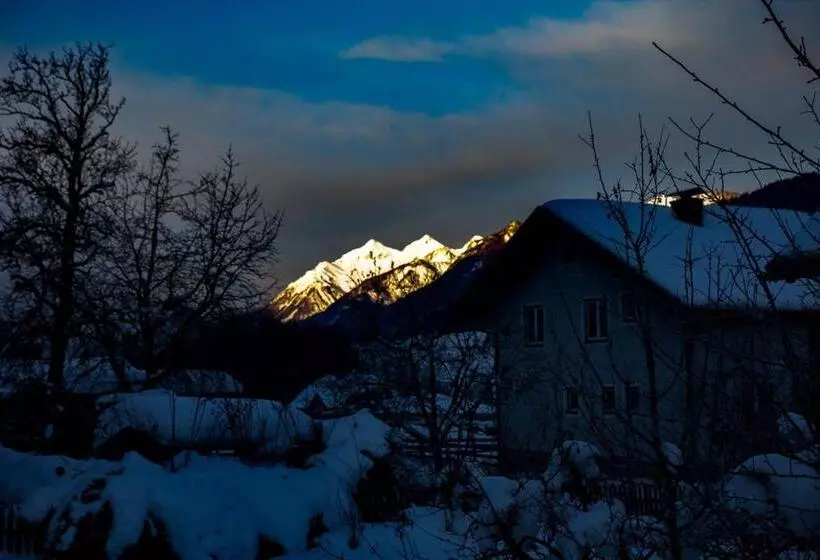 ペンション Amadehaus