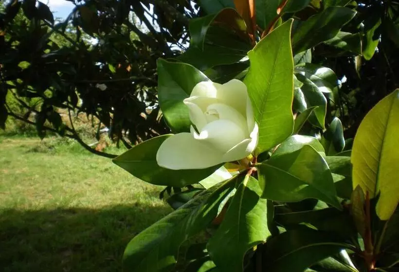 Majatalo Domaine Des Tilleuls