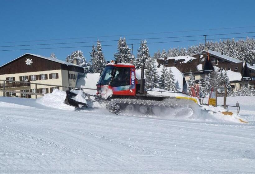 بنسيون Gaberlhaus