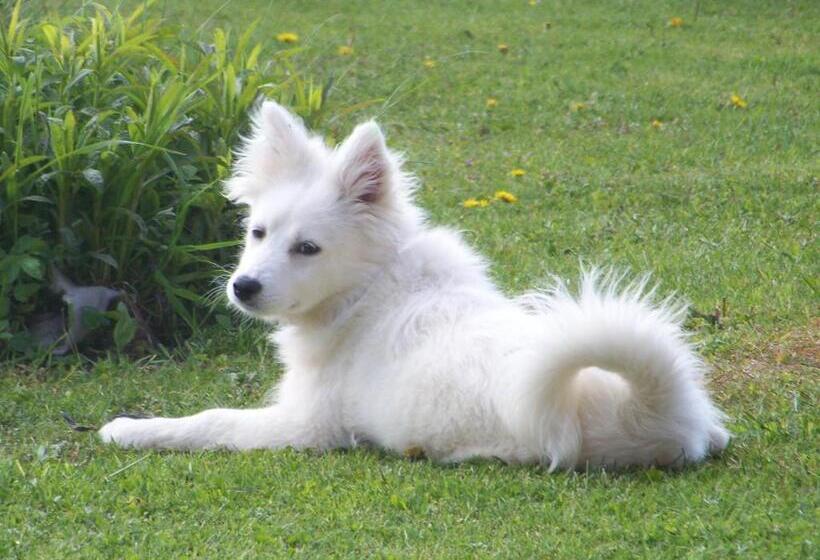 بنسيون Gasthof Seeblick