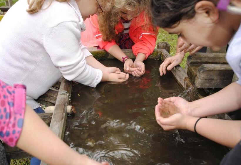 بنسيون Gasthof Seeblick