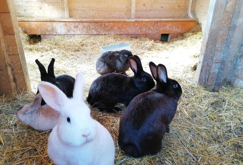 بنسيون Gasthof Seeblick