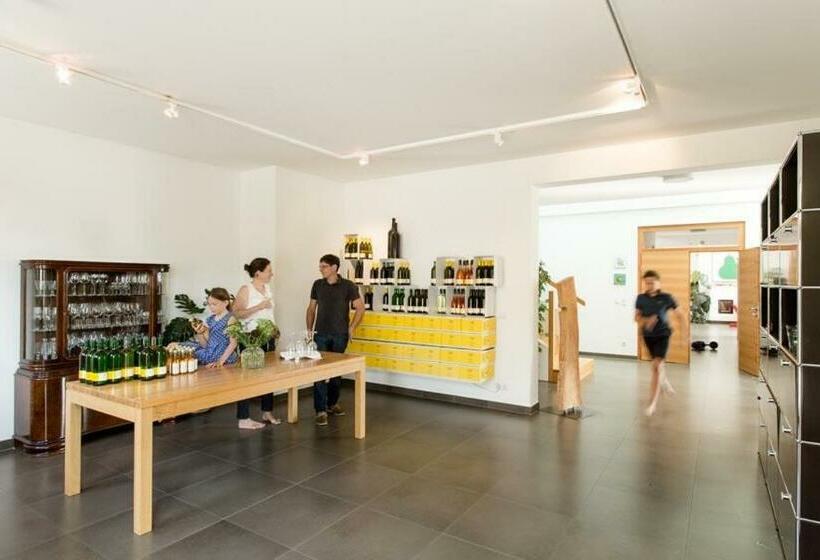 膳宿费 Wein + Bett Wiedeck