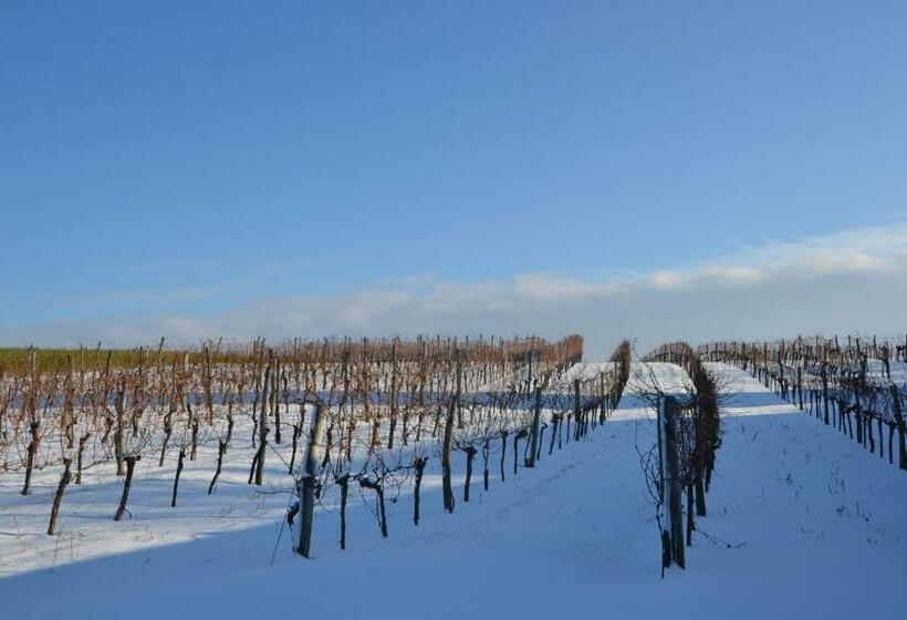 膳宿费 Wein + Bett Wiedeck