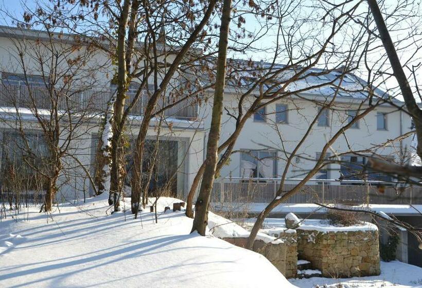 膳宿费 Wein + Bett Wiedeck