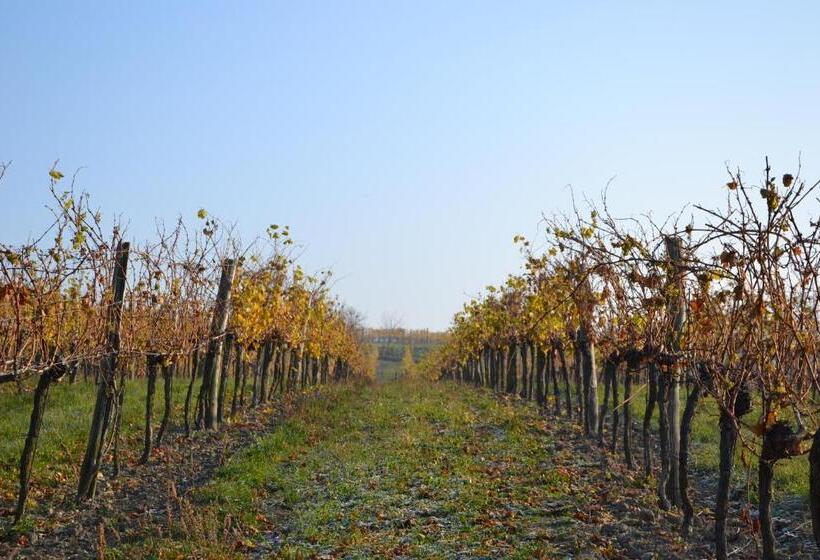 膳宿费 Wein + Bett Wiedeck