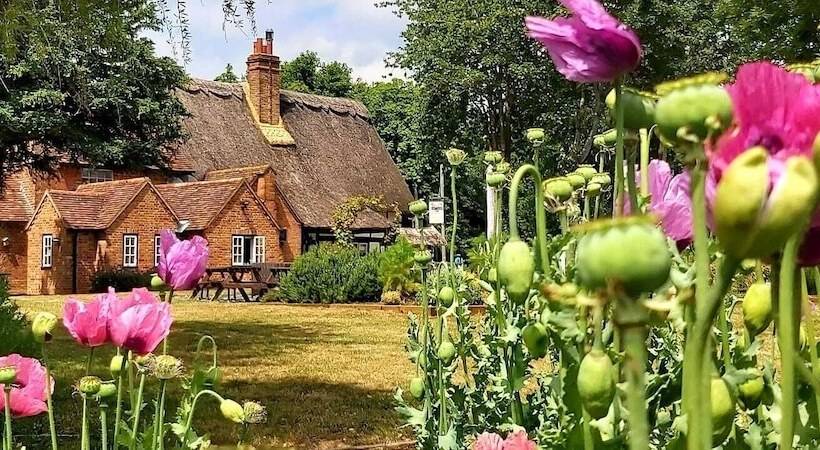 The Clifden Arms B&b