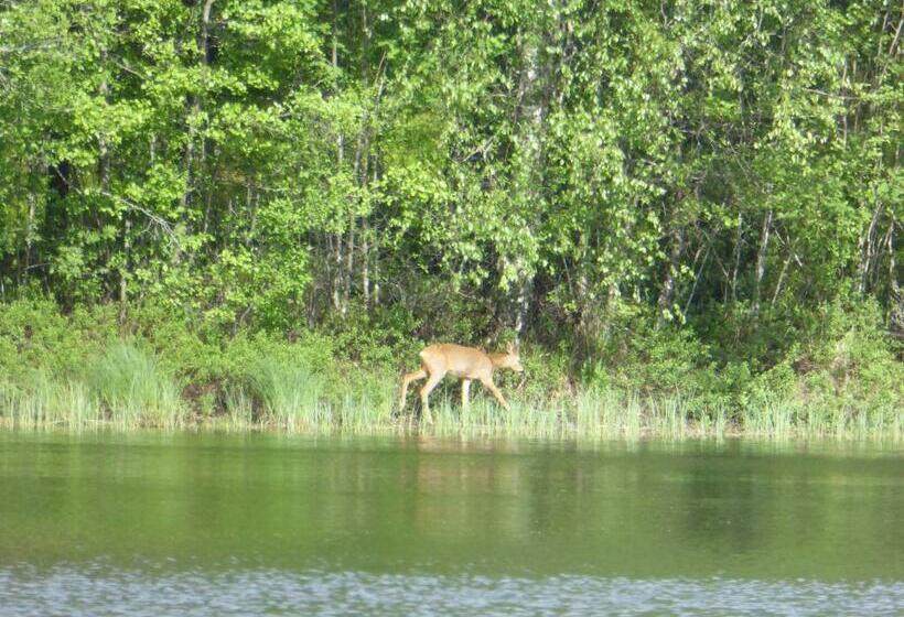 Ydrefors Bed & Breakfast