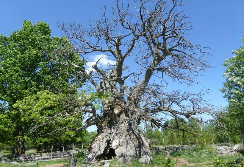 Ydrefors Bed & Breakfast