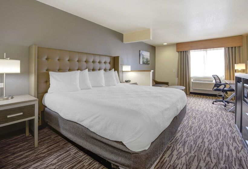 Szálloda Best Western Plus Peppertree Airport Inn