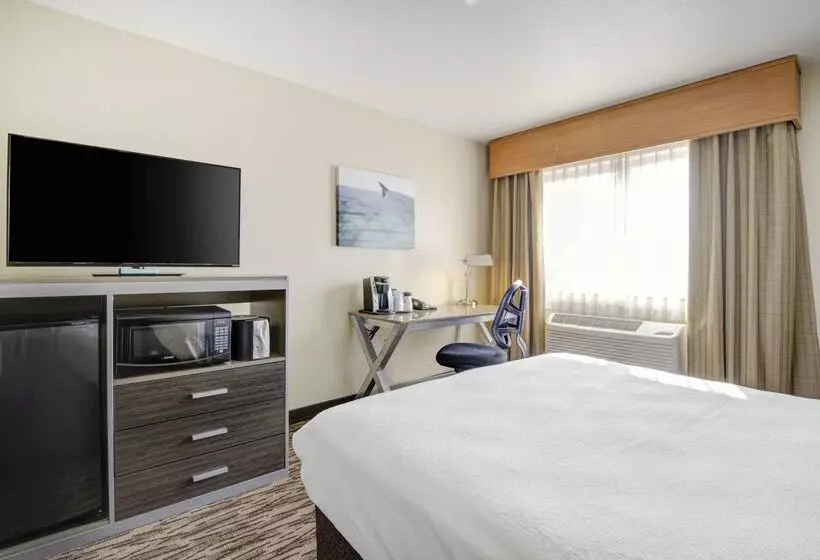 酒店 Best Western Plus Peppertree Airport Inn