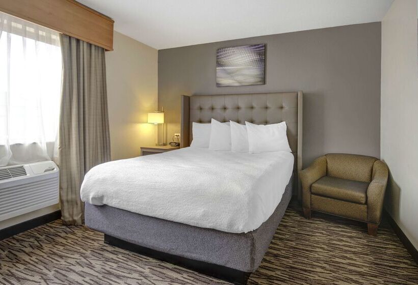 Szálloda Best Western Plus Peppertree Airport Inn