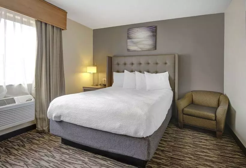 酒店 Best Western Plus Peppertree Airport Inn