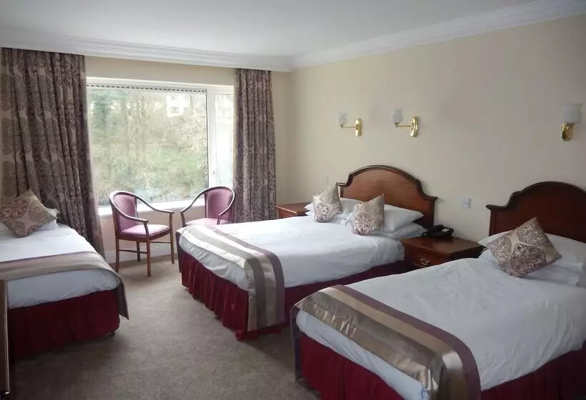 Central Hotel Donegal