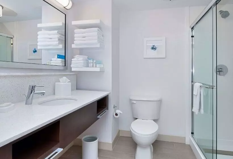 בית מלון כפרי Hampton Inn   Naples   I 75