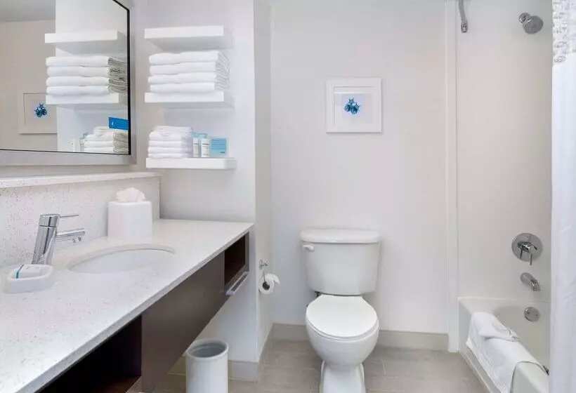 בית מלון כפרי Hampton Inn   Naples   I 75