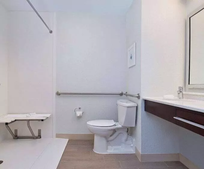 בית מלון כפרי Hampton Inn   Naples   I 75