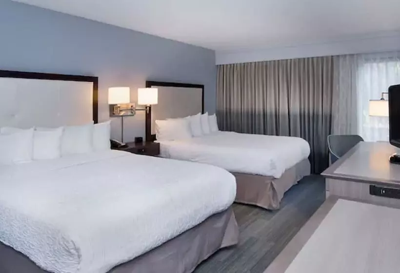 בית מלון כפרי Hampton Inn   Naples   I 75