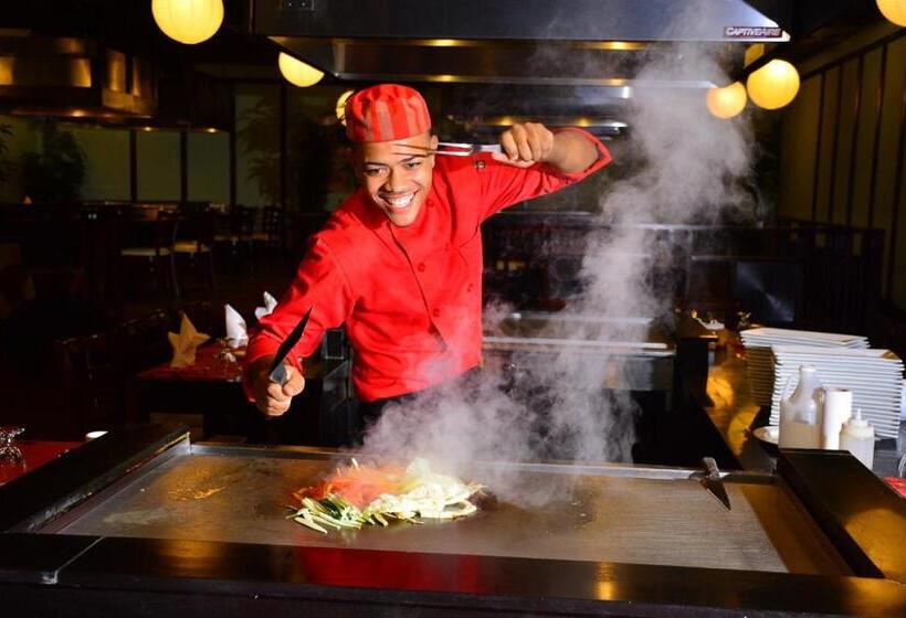 هتل Catalonia Montego Bay All Inclusive