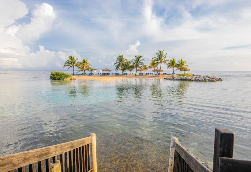 هتل Catalonia Montego Bay All Inclusive