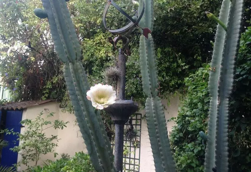 酒店 Hôtel Villa La Malouine