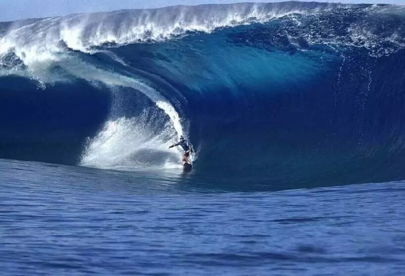 ホテル Shamrock Inn