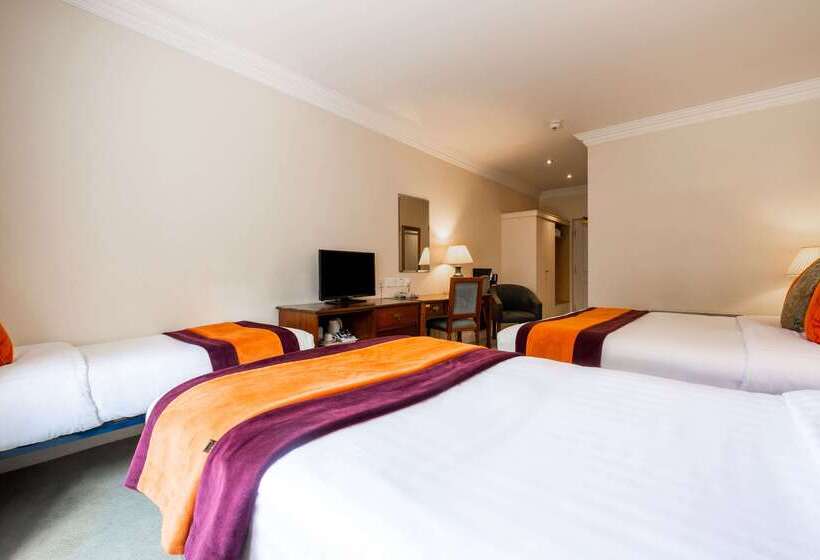 בית מלון כפרי Woodstock Ennis