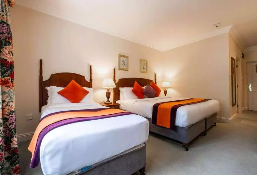 호텔 Woodstock Ennis