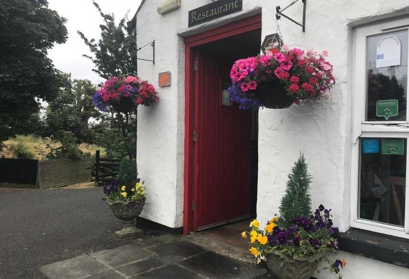 فندق صغير Sixty Six